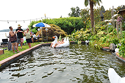 DAYLIGHT, DARK NIGHT AND BLUE SKIES WITH PAPA BUENO